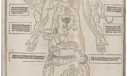 One of the Earliest Illustrated Medical Books Offers a Lens Into Medieval Health