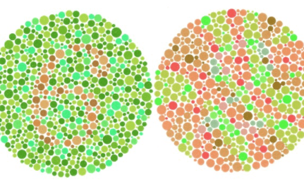 What my color-blindness taught me about design