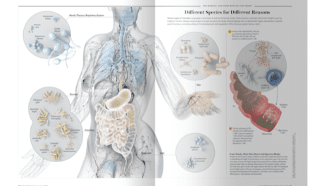 Scientific American’s Senior Graphics Editor on the Power of a Good Science Illustration