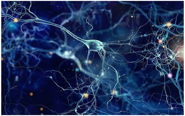 Israeli team uses silicon chip to deliver Alzheimer’s-busting protein to brain