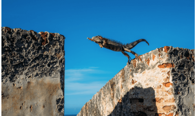 How much of human behavior is affected by design, really?