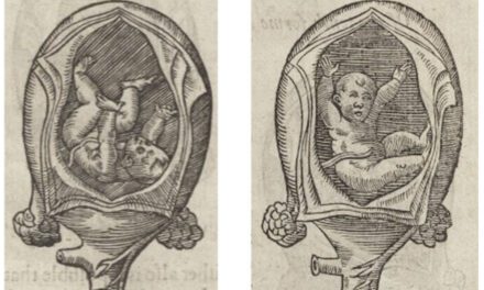 Picturing Pregnancy in Early Modern Europe