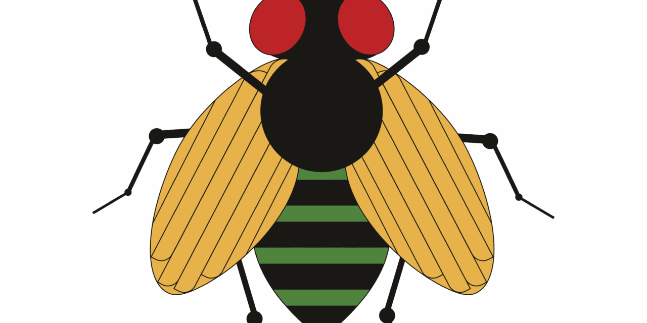 Fail, Recalibrate, Succeed